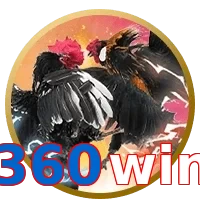 360win